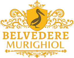 Pensiunea Belvedere Murighiol